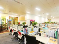 報(bào)案之路：北京經(jīng)濟(jì)案件律師解析經(jīng)濟(jì)犯罪案件的報(bào)案流程