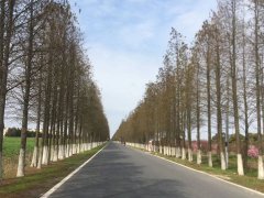 上海律師_借車給別人出交通事故車主有責(zé)任？